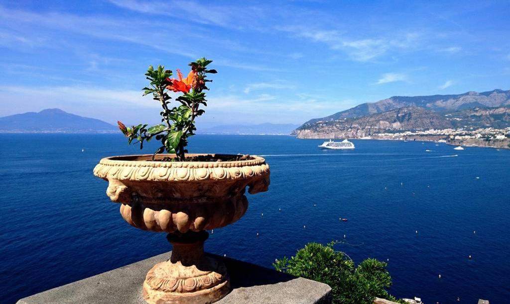 Grazia'S Home Sant'Agnello Eksteriør bilde